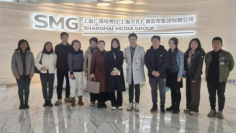 揭秘媒介投放：品牌排名背后的逻辑与策略